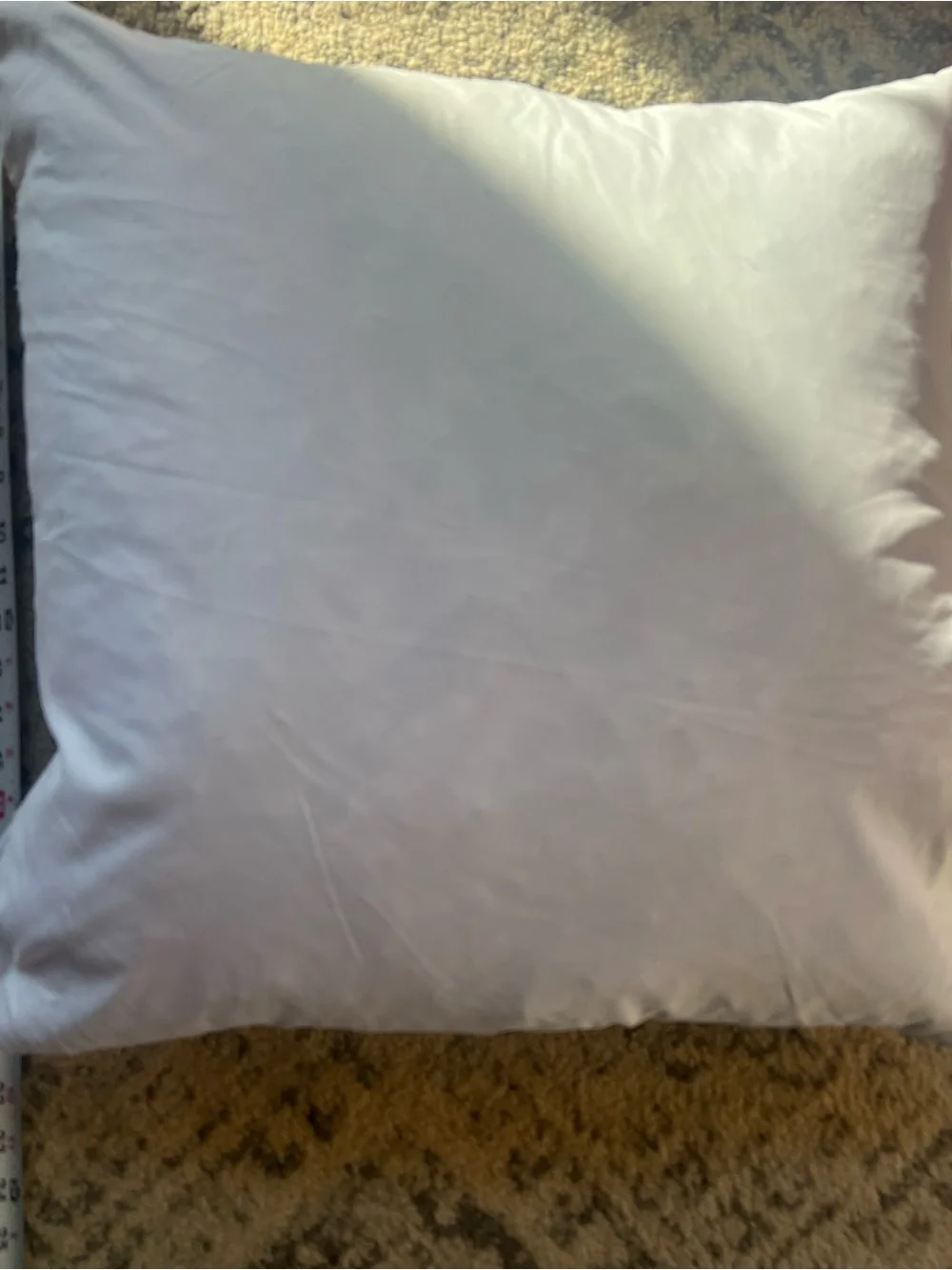 Set of 2, 20 x 20 feather decorative pillows. In great shape.
